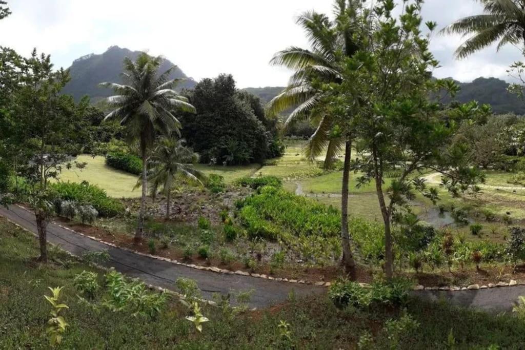 Duplex En Bord De Mer Fare Tahitea Pension Taputapuapea Luaran gambar