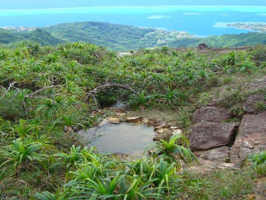 Duplex En Bord De Mer Fare Tahitea Pension Taputapuapea Luaran gambar
